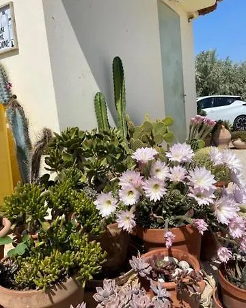 Kalimera *