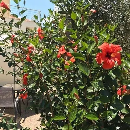 Kalimera Appartement