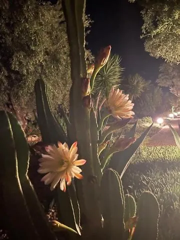 Kalimera * Kivérion