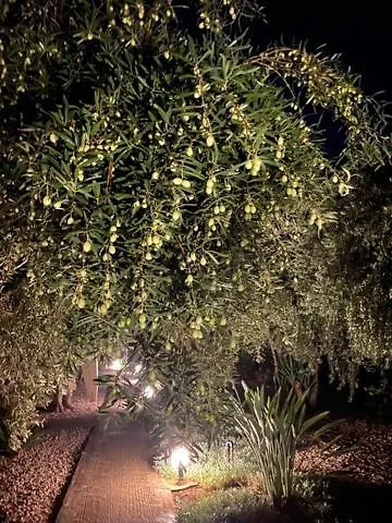 Apartamento Kalimera *