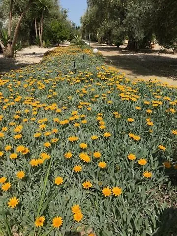 Kalimera Apartamento *